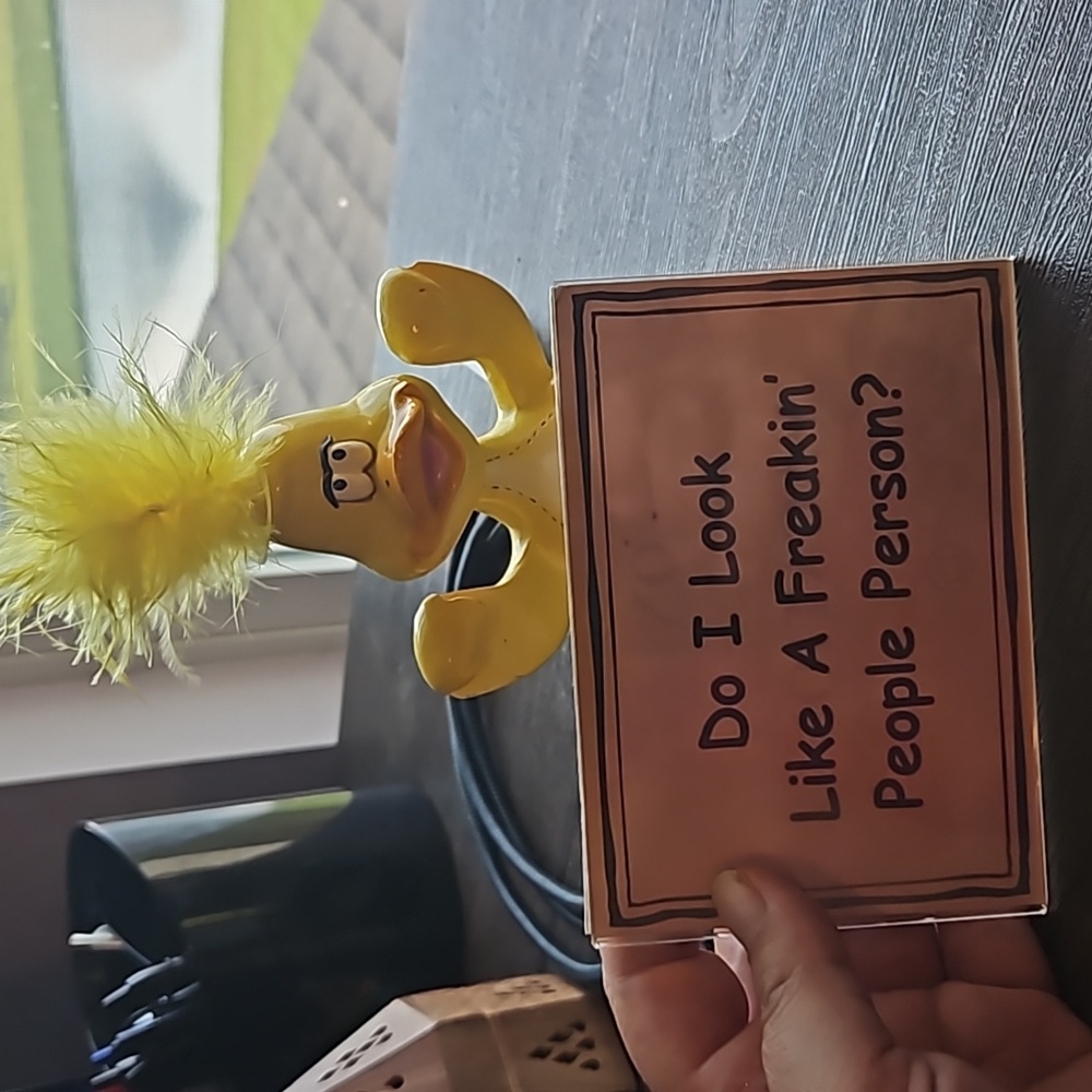 Duck Table Sign - Picture 2 of 2